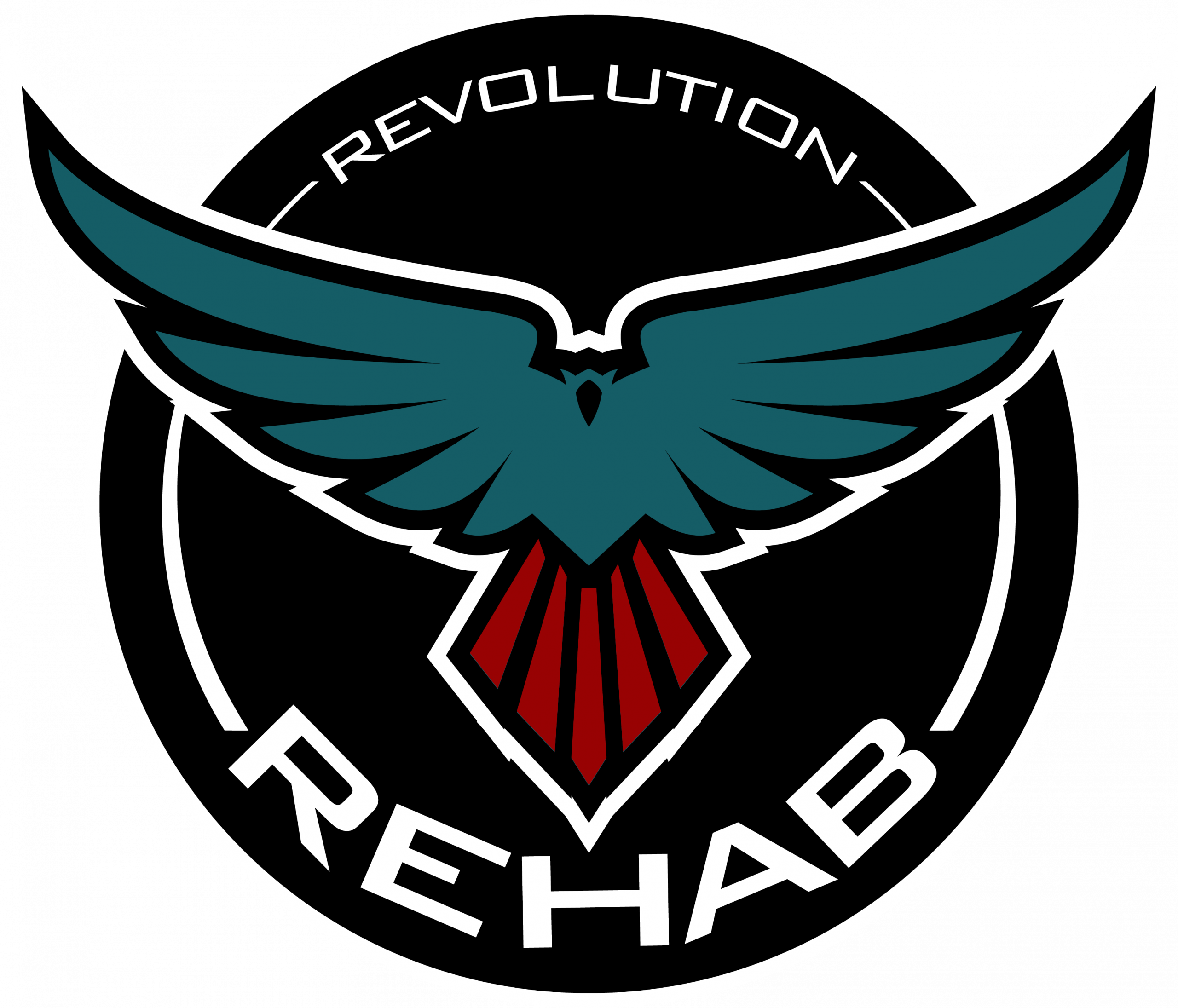 Expert Pain Relief & Mobile Physical Therapy | Revolution Rehab