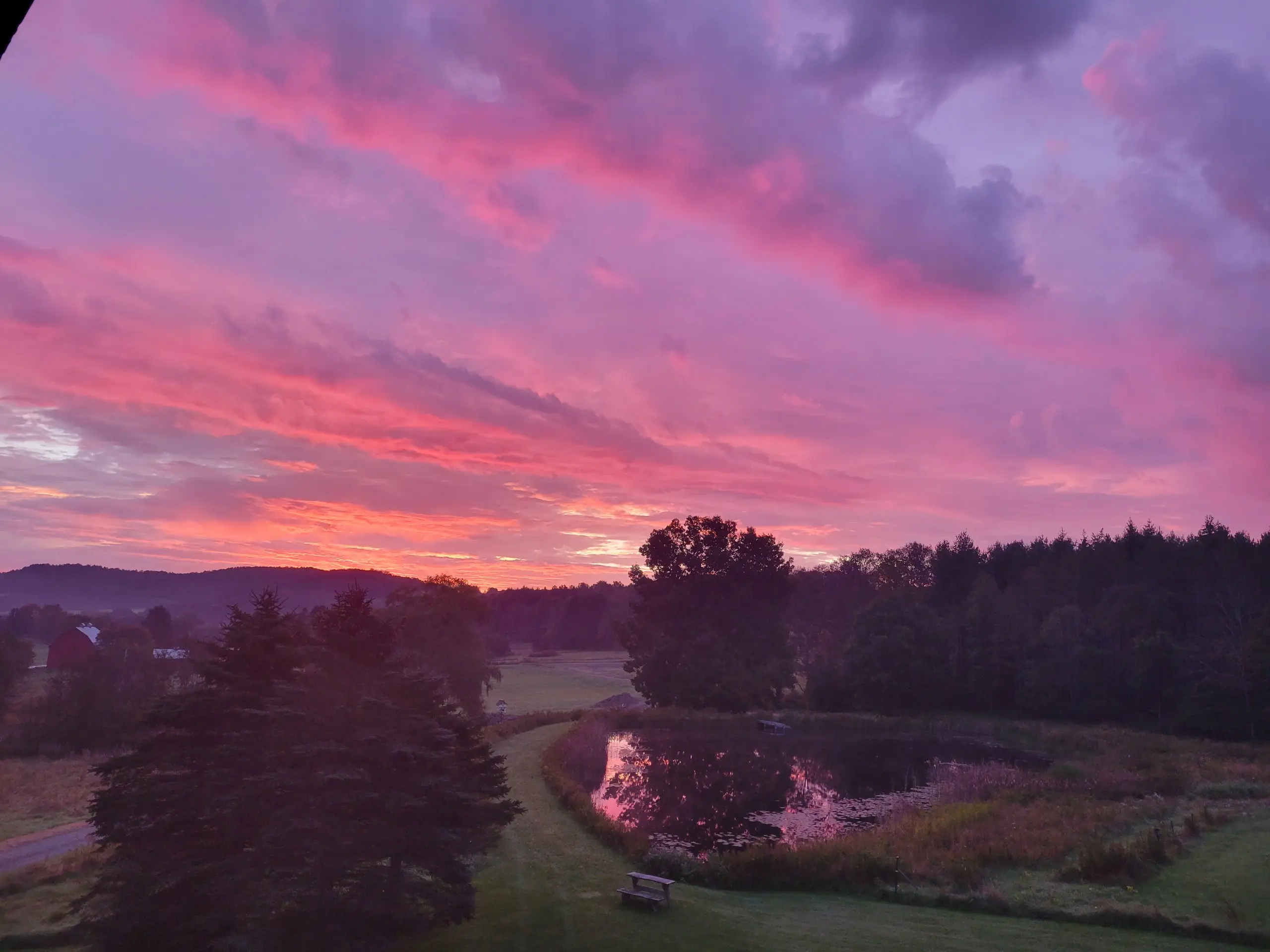 About Revolution Rehab